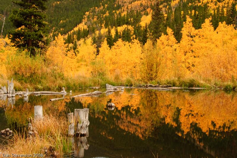 Colorado Fall Colors-5027 - Reflections ©2008 Dan Stevenson